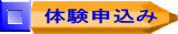 �̌��\���� 